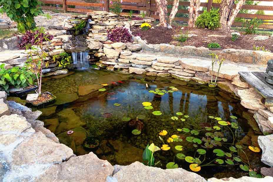 Pond Maintenance Michigan