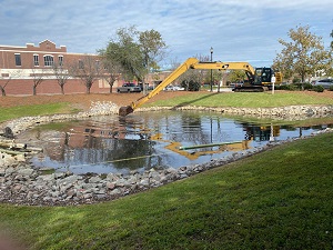 Restoration of an old pond with new plants and clean water